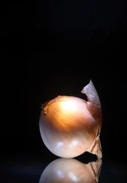 Onion on dark Stock Photos