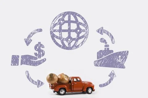 Onion to export Foto stock