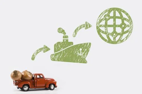 Onion to export Foto stock