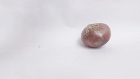 Onion falls on white background in slow motion Stock Footage 86323682