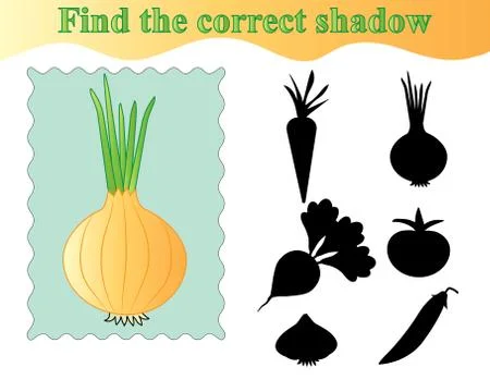 Onion. Find the correct shadow, educational game for kids. Vector illustratio Illustrazione stock