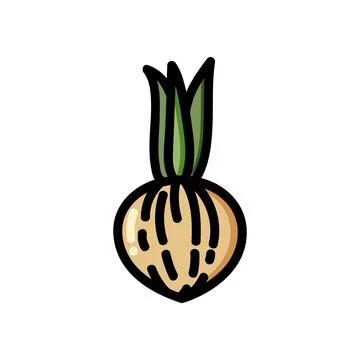 Onion flat outlined icon. Vector vegetable logo isolated on white background. Stock Illustration