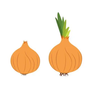 Onion. Flat simple design. Vector illustration of organic farm fresh vegetables Stock Illustration