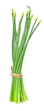 Onion flower on white background Stock Photos