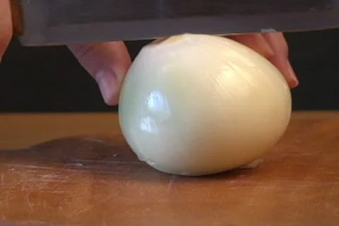 Onion 動画素材 10460742