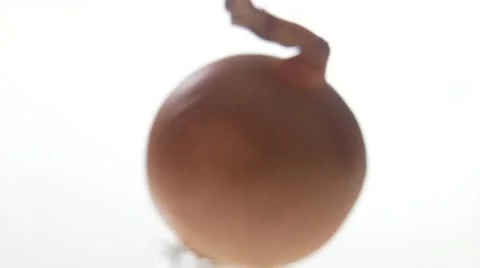 An onion Stock Footage 11309511