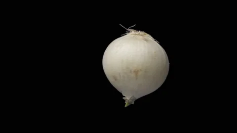 Onion Stock Footage 234841411