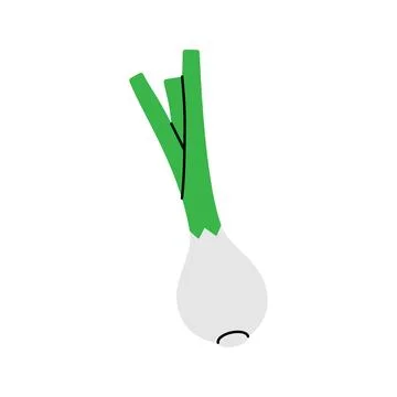 Onion. Fresh organic vegetable. Vector illustration Stock Illustration