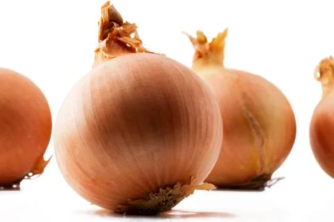 Onion in front of some Stock Photos