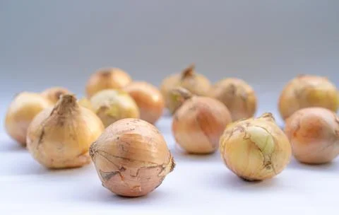 Onion fruit on a white background Stock Photos