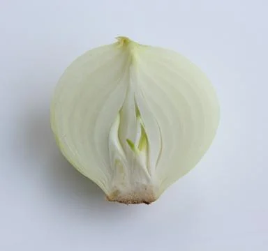 Onion half on a white background. Stock Photos
