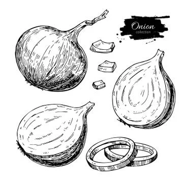 Onion hand drawn vector set. Full, rings and Half cutout slice. Isolated Ve.. Stock Illustration