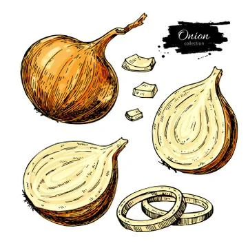Onion hand drawn vector set. Full, rings and Half cutout slice. Isolated Ve.. Illustrazione stock