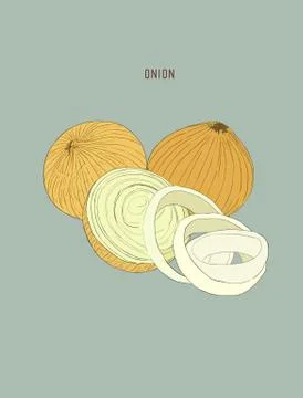 Onion hand drawn vector set. Full, rings and Half cutout slice.  Vegetable en Stock Illustration