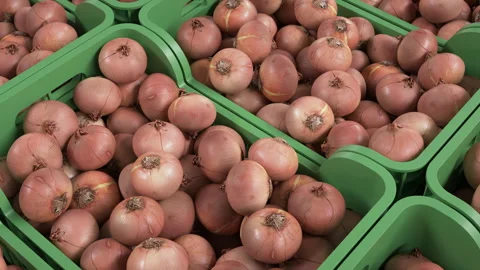 Onion harvest prepared for distribution. Vídeos de archivo 336321013