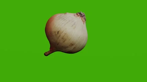 The onion head rotates on the green screen Stock Footage 279063788