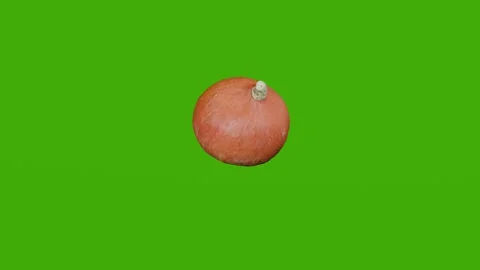The onion head rotates on the green screen. Stock Footage 280272769