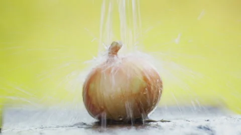 Onion head on the table under the drops of water. Stock Footage 114441742