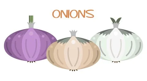 Onion Icon Set. White, Red, Yellow And Onion Bulb. Onion Flat Illustration Stock Illustration