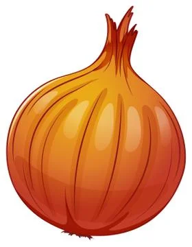 An onion Stock Illustration
