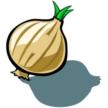 Onion Illustrazione stock