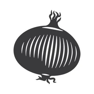 Onion Stock Illustration
