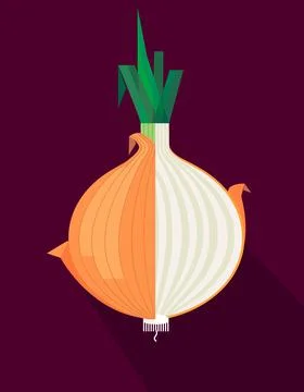 Onion Stock Illustration