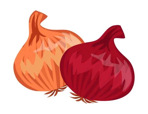 Onion illustration vector Stock-Illustration