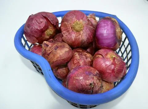Onion image on white background Stock Photos