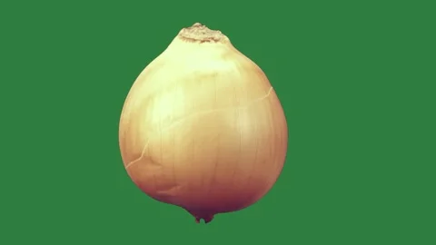 A onion isolated on green screen background Stock Footage 336968776