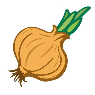 Onion. Isolated object. Vector illustrations. Stock Illustration
