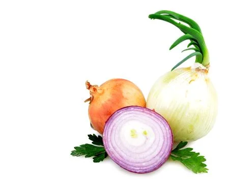 Onion isolated Stock Photos
