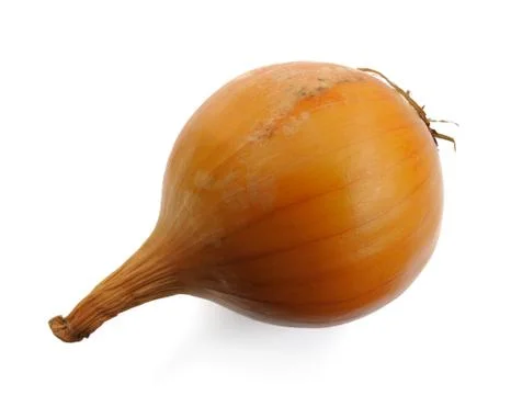 Onion, isolated Stock Photos