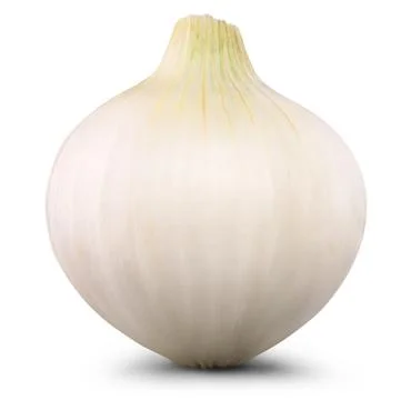 Onion isolated Stock Photos