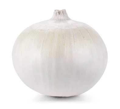 Onion isolated Stock Photos