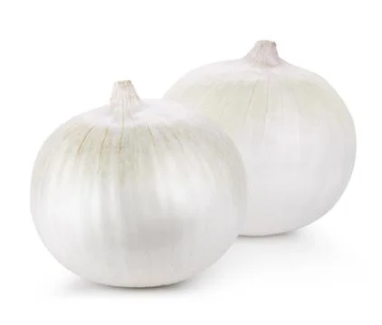 Onion isolated Stock Photos