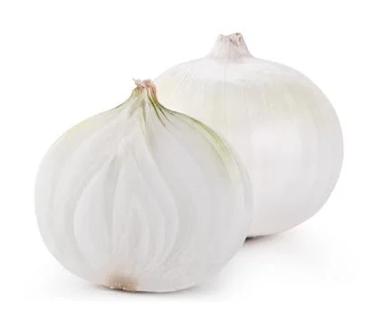 Onion isolated Stock Photos