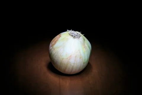 Onion isolated on the shadow Foto stock
