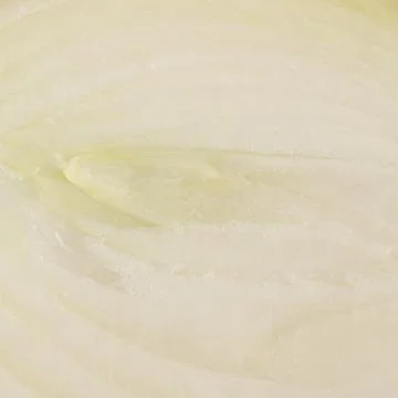 Onion isolated  texture background half slice Stock Photos