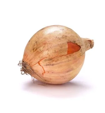 Onion isolated on white background Stock Photos