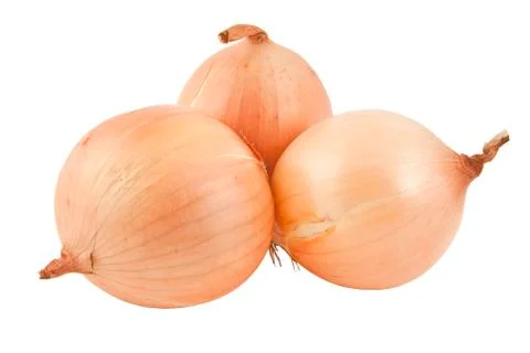 Onion isolated on white background Fotos de archivo