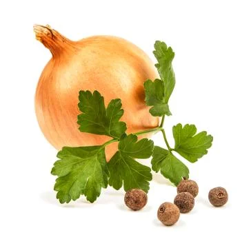 Onion isolated on white background Stock Photos