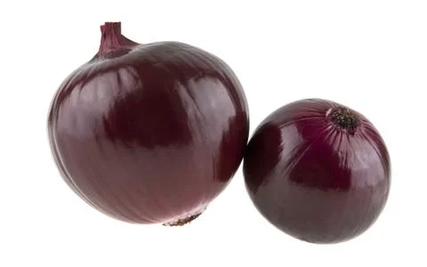 Onion isolated on white background Stock Photos