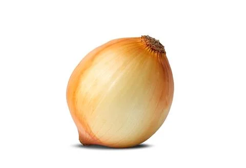 Onion isolated on white background 스톡 사진