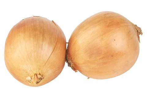 Onion isolated on white background Stock Photos