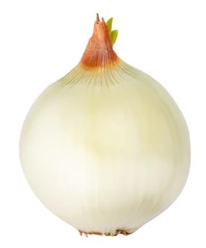 Onion isolated on white Stock Photos