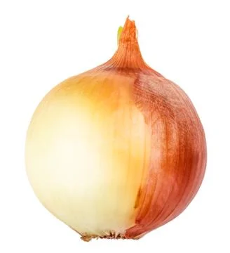 Onion isolated on white Stock Photos