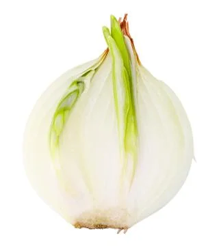 Onion isolated on white Stock Photos