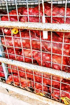 Onion in large packaging Stock Photos