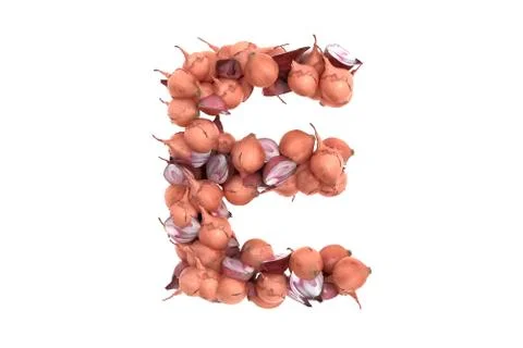 Onion letter E on white background Stock Illustration